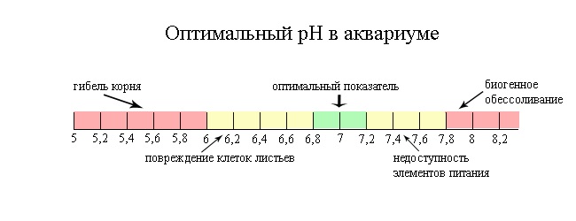 оптимальный ph